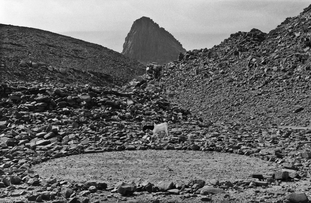 20 Hoggar Circle The Sahara 1988