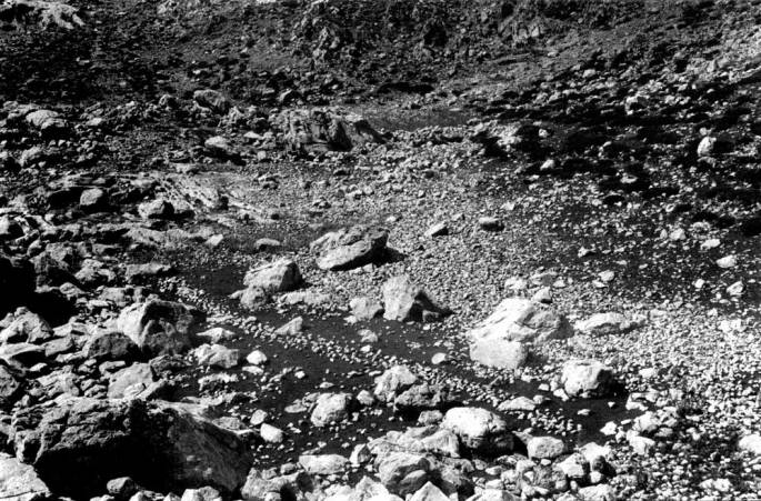 37 Parnassus Line A Six Day Walk In Greece 2002