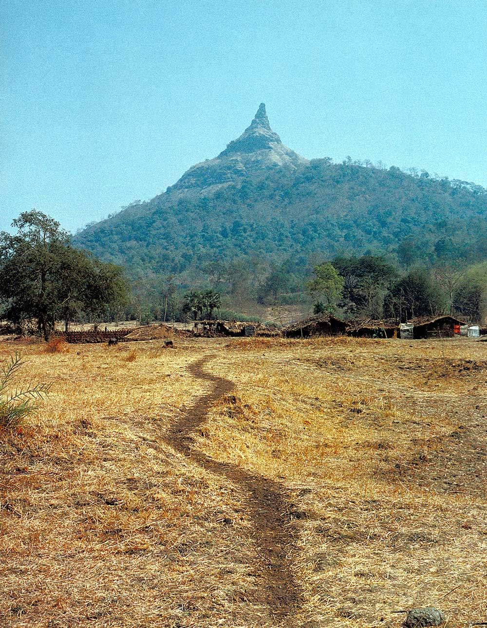 38 Mahalakshmi Hill Line Warli Tribal Land Maharashtra India 2003