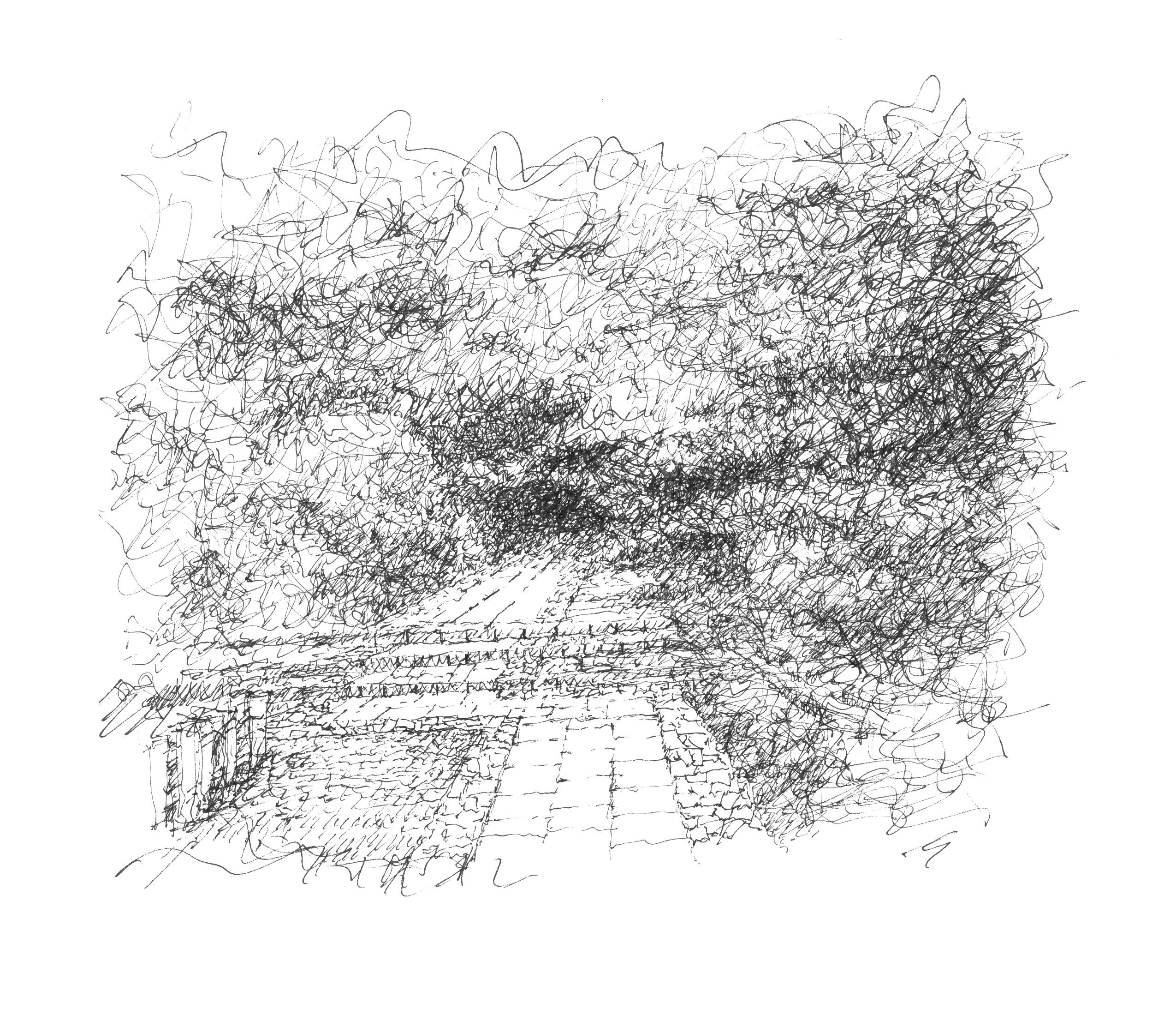 38059721906_727aba44d3_o (1).jpg