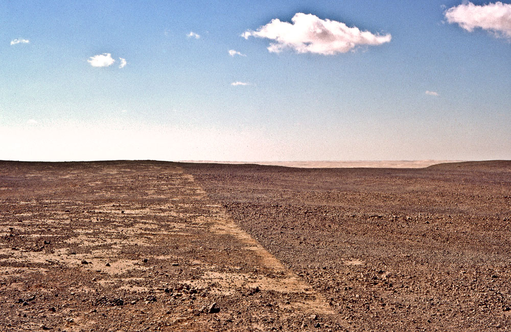 52 Midday Muezzin Line Siwa Egypt 2006
