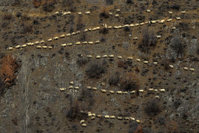 56877-314-tfsf-aAC8r