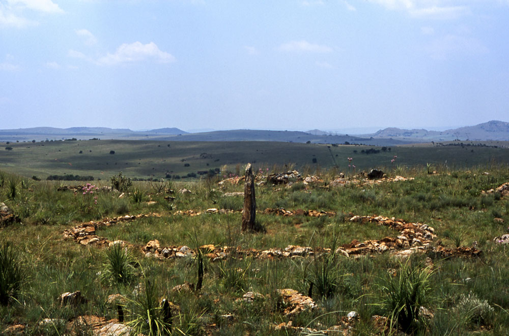 58 Standing Stone Circle The Highveldt South Africa 2011