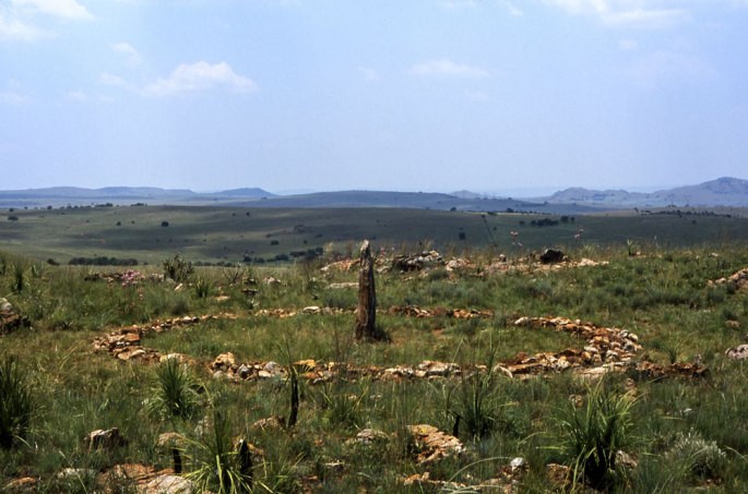 58 Standing Stone Circle The Highveldt South Africa 2011