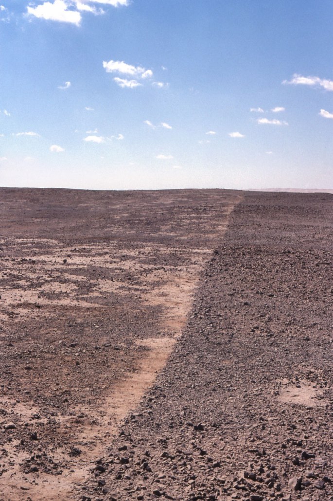 62 Midday Muezzin Line Siwa Egypt 2006