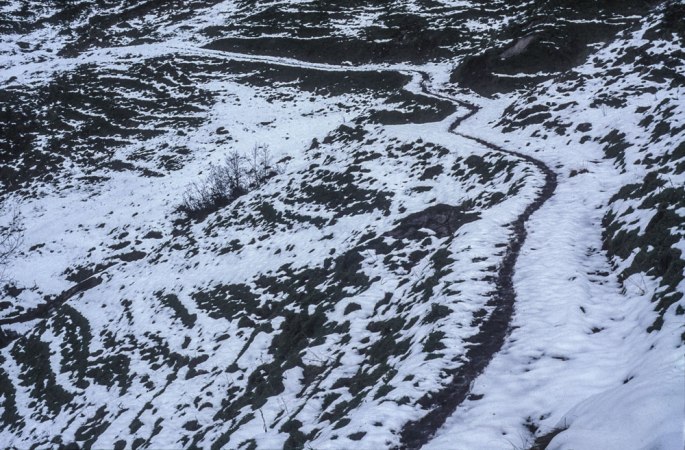 66 Tigerline Walking A Line On The Footpath Along A Fourteen Day Walk In The Glarnisch Massif Switzerland 2010