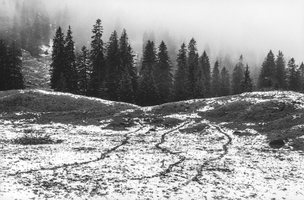 70 Somewhere Nowhere A Fourteen Day Walk In The Glarnisch Massif Switzerland 2010