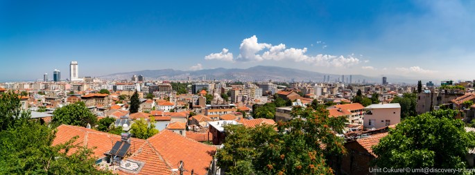 34942757881_d1700b825b_o