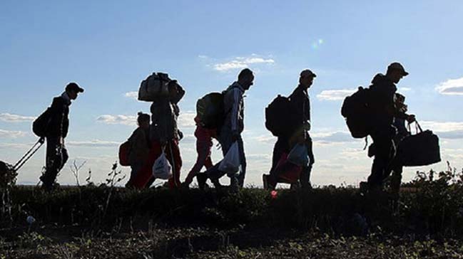 190620181257002243773_2