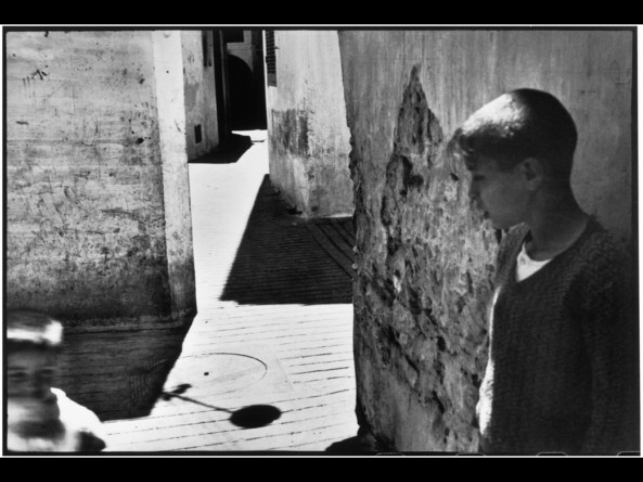 45136380512_235f2ed45f_o