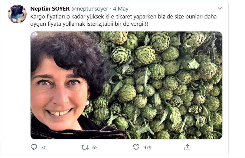 Enginar - Neptün Soyer