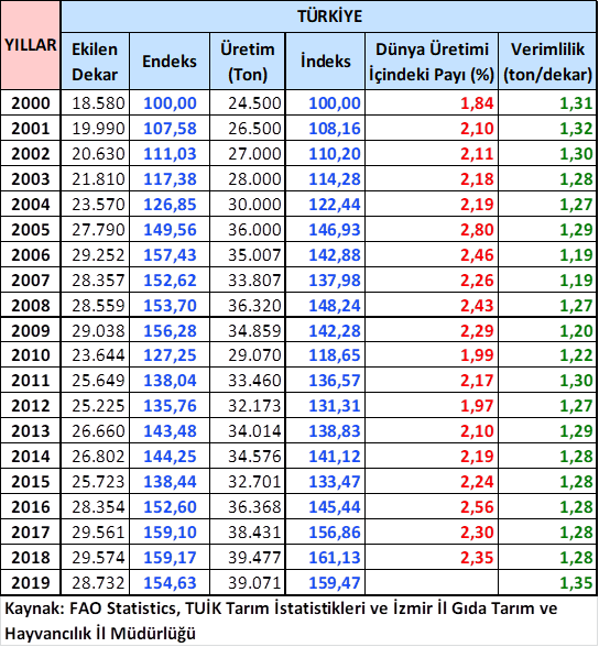 Enginar Türkiye Üretim